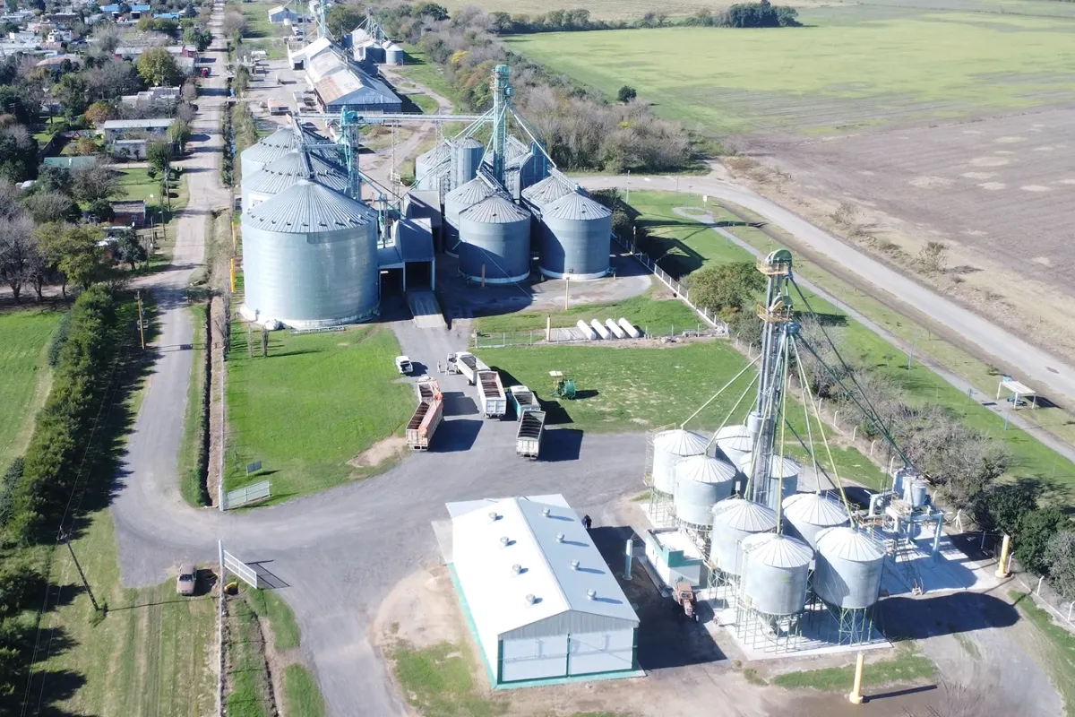 Comercialización de granos